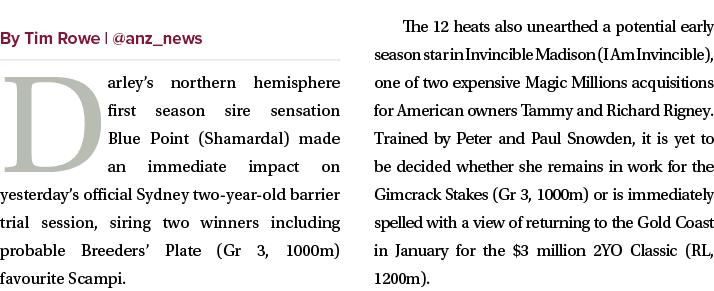 ￼ Darley’s northern hemisphere first season sire sensation Blue Point (Shamardal) made an immediate impact on yesterd...