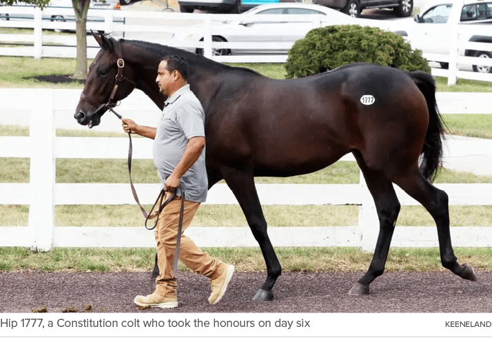 Hip 1777, a Constitution colt who took the honours on day six keenelan