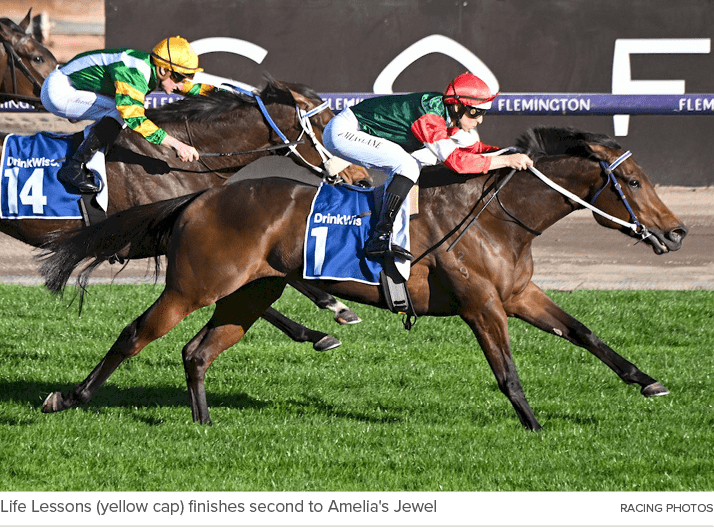 Life Lessons (yellow cap) finishes second to Amelia's Jewel Racing Photo