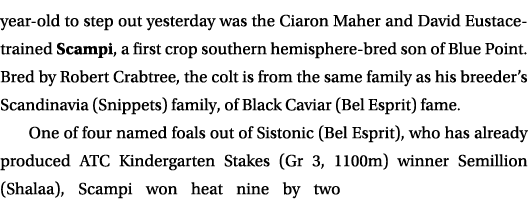 year old to step out yesterday was the Ciaron Maher and David Eustace trained Scampi, a first crop southern hemispher...