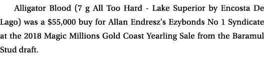 Alligator Blood (7 g All Too Hard Lake Superior by Encosta De Lago) was a $55,000 buy for Allan Endresz's Ezybonds No...