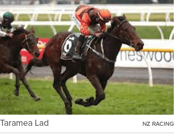 Taramea Lad nz racin