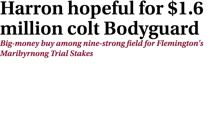 Harron hopeful for $1.6 million colt Bodyguard Big money buy among nine strong field for Flemington's Maribyrnong Tri...