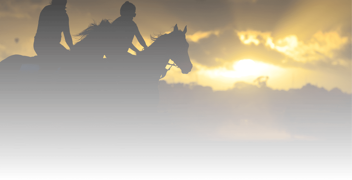 MELBOURNE, AUSTRALIA - FEBRUARY 16: General view of horse and riders during trackwork at Flemington Racecourse on February 16, 2018 in Melbourne, Australia.  (Photo by Vince Caligiuri/Getty Images)