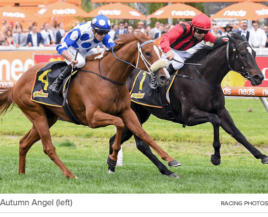 Autumn Angel (left) Racing Photo