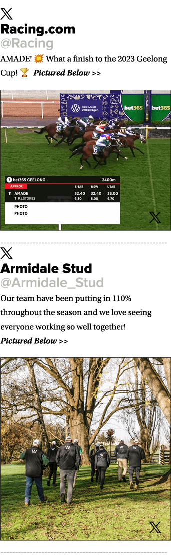 ￼ Racing.com @Racing AMADE! 💥 What a finish to the 2023 Geelong Cup! 🏆 Pictured Below   ￼ ￼ Armidale Stud @Armidal...