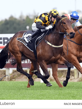 Luberon Race Image