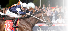 Cleveland (IRE) ridden by James McDonald wins the Ladbrokes Moonee Valley Gold Cup at Moonee Valley Racecourse on October 27, 2023 in Moonee Ponds, Australia. (Photo by Scott Barbour/Racing Photos)