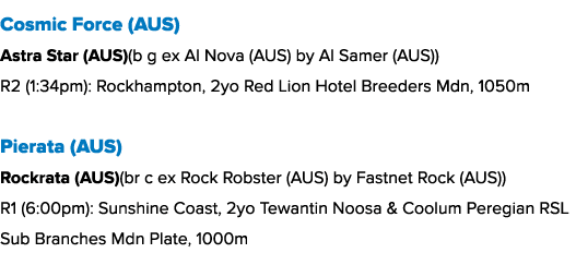 Cosmic Force (AUS) Astra Star (AUS)(b g ex Al Nova (AUS) by Al Samer (AUS)) R2 (1:34pm): Rockhampton, 2yo Red Lion Ho...