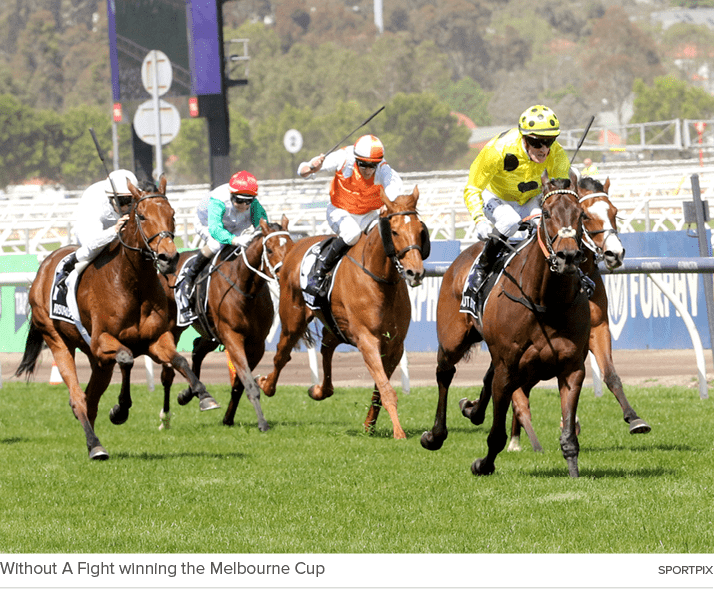 Without A Fight winning the Melbourne Cup sportpi