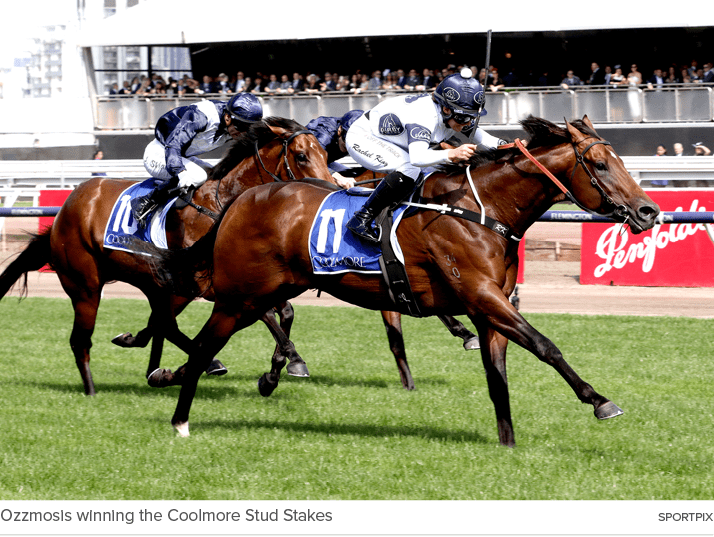 Ozzmosis winning the Coolmore Stud Stakes sportpi