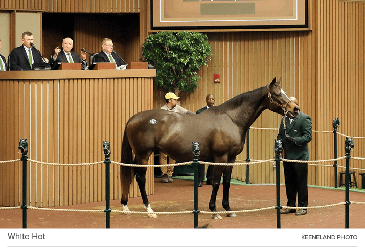 White Hot Keeneland phot