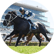 Forgot You (NZ) ridden by Blake Shinn wins the Furphy Plate at Flemington Racecourse on November 07, 2023 in Flemington, Australia. (Photo by Morgan Hancock/Racing Photos)