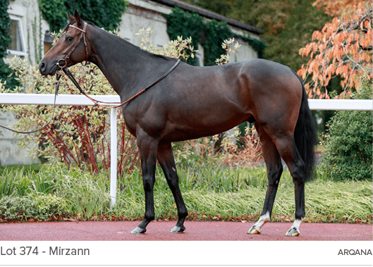 Lot 374 Mirzann Arqan