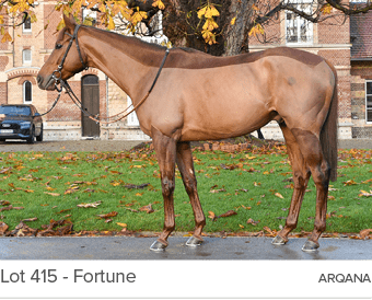 Lot 415 Fortune Arqan