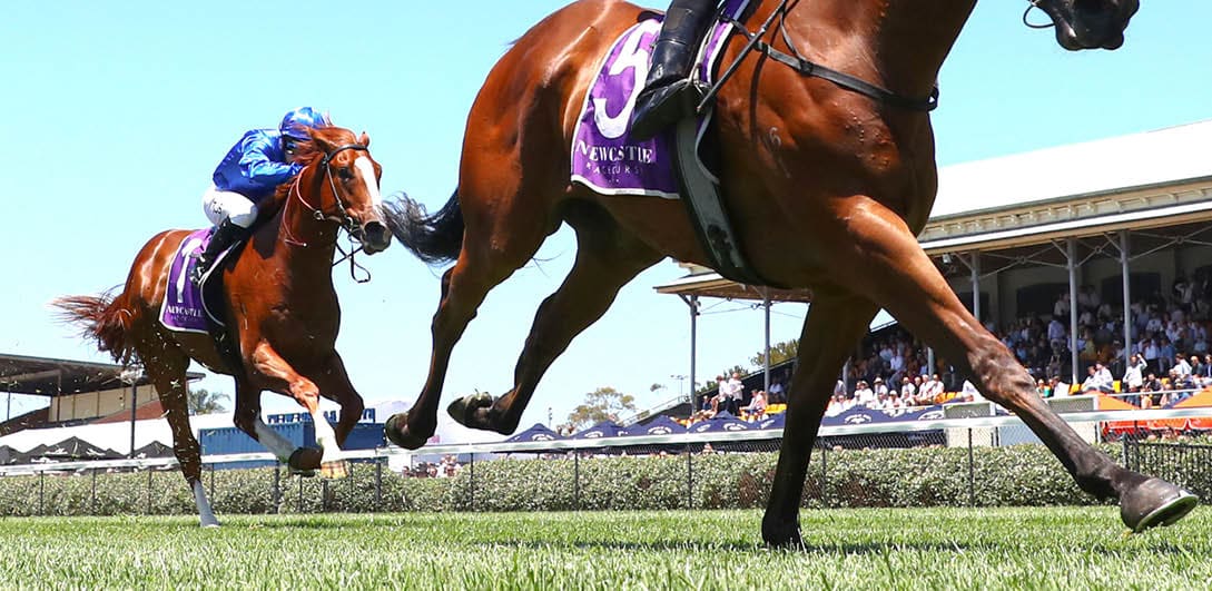 NEWCASTLE, AUSTRALIA - NOVEMBER 18: Jason Collett riding Erno's Cube wins Race 1 NZB Airfreight Max Lees Classic during Sydney Racing ( The Hunter ) at Newcastle Racecourse on November 18, 2023 in Newcastle, Australia. (Photo by Jeremy Ng/Getty Images)