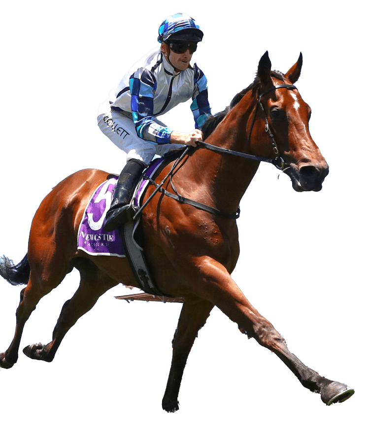 NEWCASTLE, AUSTRALIA - NOVEMBER 18: Jason Collett riding Erno's Cube wins Race 1 NZB Airfreight Max Lees Classic during Sydney Racing ( The Hunter ) at Newcastle Racecourse on November 18, 2023 in Newcastle, Australia. (Photo by Jeremy Ng/Getty Images)