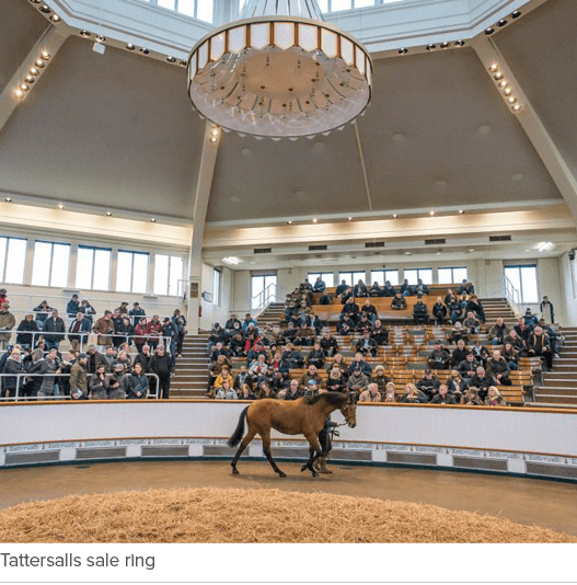 Tattersalls sale ring 