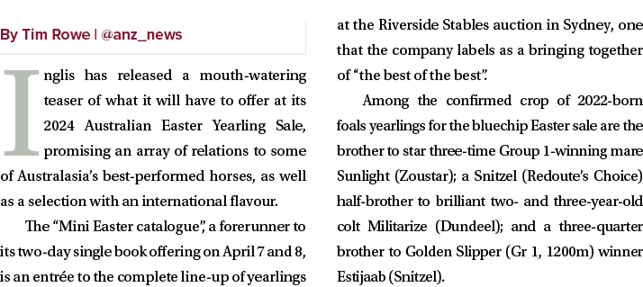 ￼ Inglis has released a mouth watering teaser of what it will have to offer at its 2024 Australian Easter Yearling Sa...
