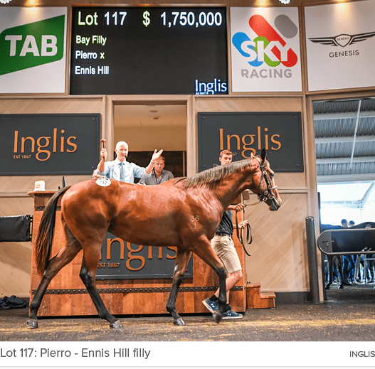 Lot 117: Pierro Ennis Hill filly ingli