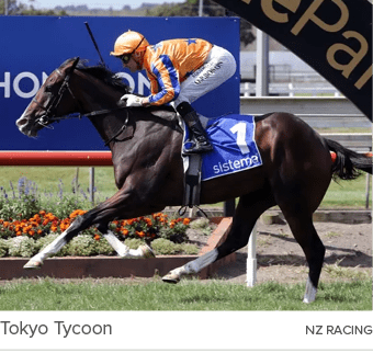 Tokyo Tycoon nz racin