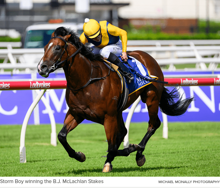 Storm Boy winning the B.J. McLachlan Stakes Michael McInally Photograph