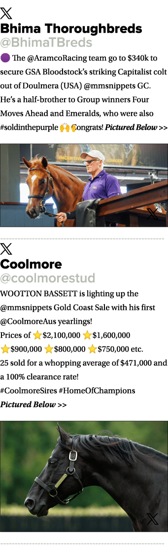 ￼ Bhima Thoroughbreds @BhimaTBreds 🟣 The @AramcoRacing team go to $340k to secure GSA Bloodstock’s striking Capitali...