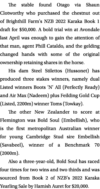 The stable found Otago via Shaun Clotworthy who purchased the chestnut out of Brighthill Farm's NZB 2022 Karaka Book ...