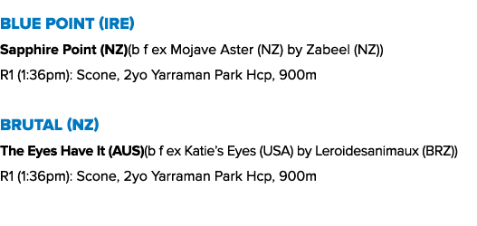 Blue Point (IRE) Sapphire Point (NZ)(b f ex Mojave Aster (NZ) by Zabeel (NZ)) R1 (1:36pm): Scone, 2yo Yarraman Park H...