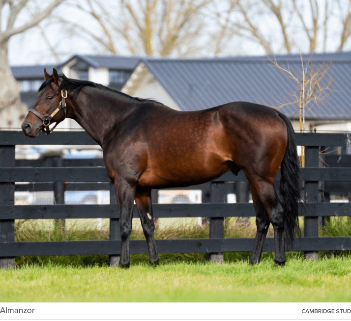 Almanzor cambridge stu