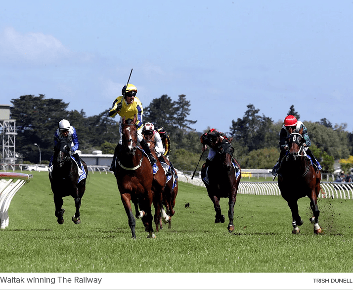 Waitak winning The Railway Trish Dunel