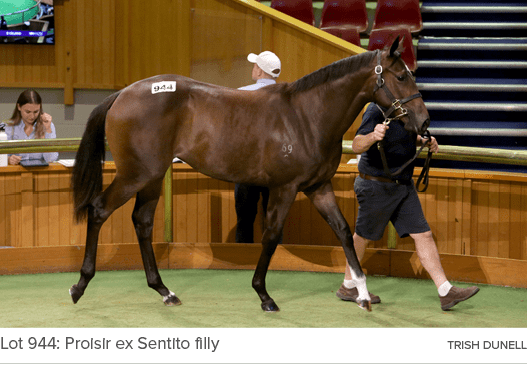 Lot 944: Proisir ex Sentito filly Trish Dunel