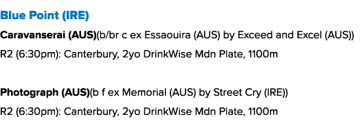 Blue Point (IRE) Caravanserai (AUS)(b/br c ex Essaouira (AUS) by Exceed and Excel (AUS)) R2 (6:30pm): Canterbury, 2yo...