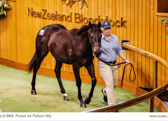 Lot 869: Proisir ex Polson filly Trish Dunel