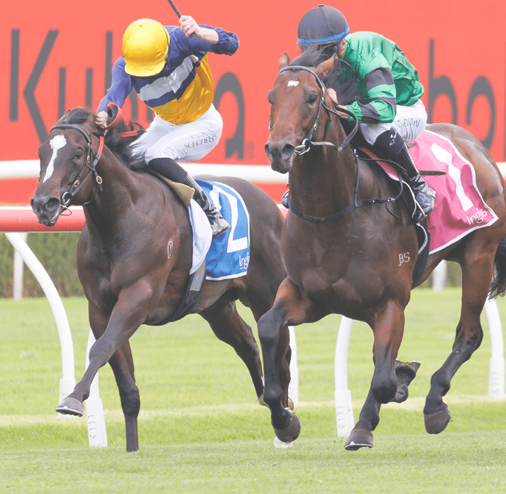 Odinson (Tyler Schiller, outside, green & yellow quartered c ap) wins the Inglis Nursery at Randwick on December 9, 2023 - photo by Martin King/Sportpix copyright