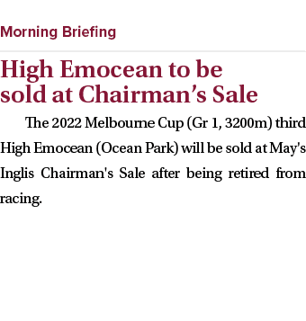  ￼ High Emocean to be sold at Chairman’s Sale The 2022 Melbourne Cup (Gr 1, 3200m) third High Emocean (Ocean Park) wi...