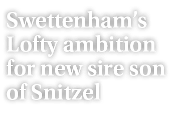 Swettenham’s Lofty ambition for new sire son of Snitzel