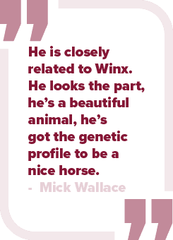 He is closely related to Winx. He looks the part, he’s a beautiful animal, he’s got the genetic profile to be a nice ...