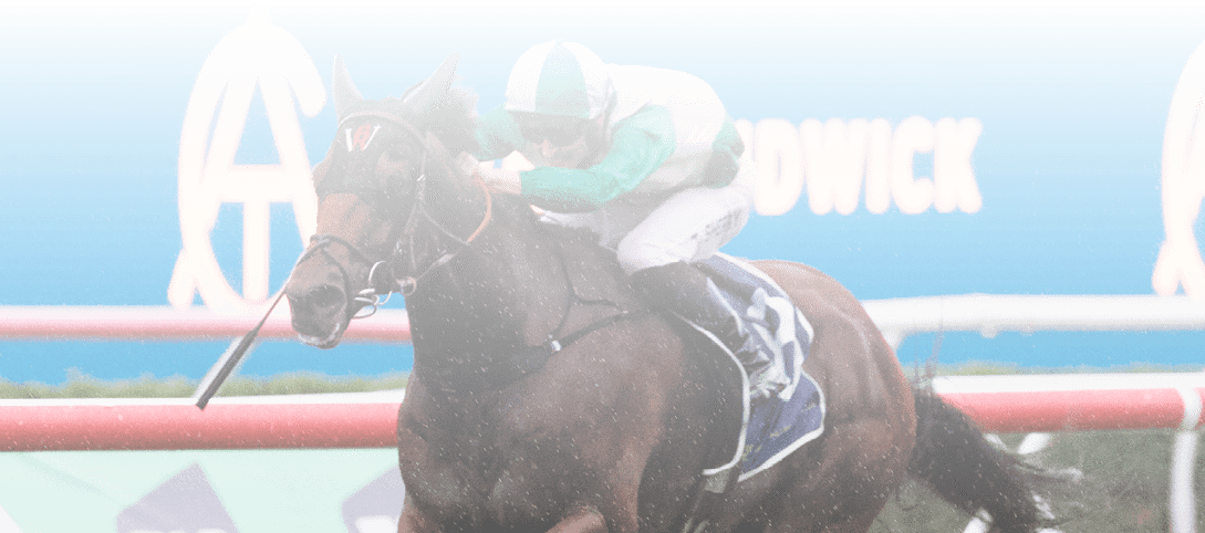 Phearson (Tom Sherry) wins the Liverpool City Cup (Group 3) at Randwick on March 2, 2024 - photo by Martin King/Sportpix copyright