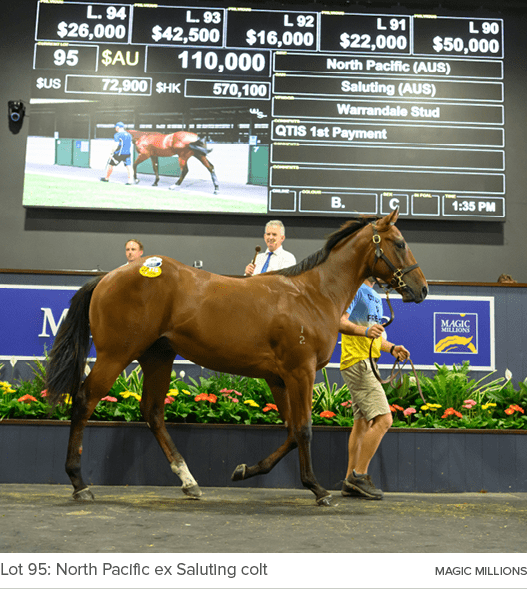 Lot 95: North Pacific ex Saluting colt magic million