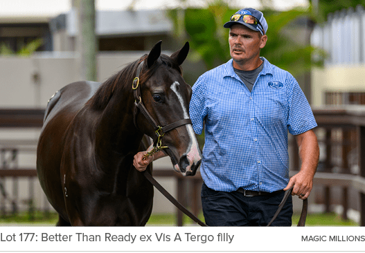 Lot 177: Better Than Ready ex Vis A Tergo filly MAGIC MILLION