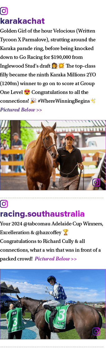 ￼ karakachat Golden Girl of the hour Velocious (Written Tycoon X Parmalove), strutting around the Karaka parade ring,...