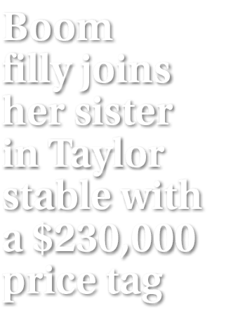 Boom filly joins her sister in Taylor stable with a $230,000 price tag