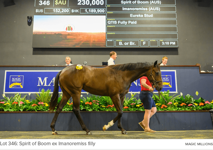 Lot 346: Spirit of Boom ex Imanoremiss filly magic million