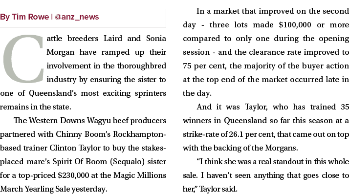 ￼ Cattle breeders Laird and Sonia Morgan have ramped up their involvement in the thoroughbred industry by ensuring th...