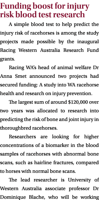 Funding boost for injury risk blood test research A simple blood test to help predict the injury risk of racehorses i...