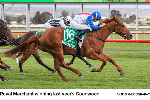 Royal Merchant winning last year's Goodwood aktins photograph