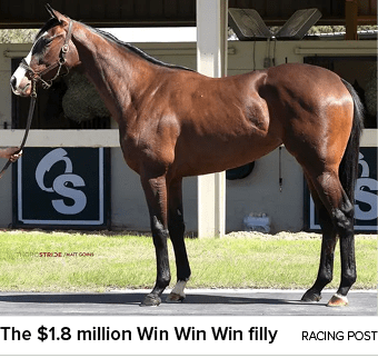 The $1.8 million Win Win Win filly racing pos