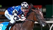 Ashrun (FR) ridden by Mark Zahra wins the Sportsbet Pakenham Cup at Sportsbet Pakenham on March 15, 2024 in Pakenham, Australia. (Photo by Scott Barbour/Racing Photos)