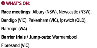 ￼ What's on: Race meetings: Albury (NSW), Newcastle (NSW), Bendigo (VIC), Pakenham (VIC), Ipswich (QLD), Narrogin (WA...